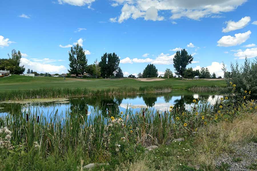 a small pond in wyoming with a golf course in the background